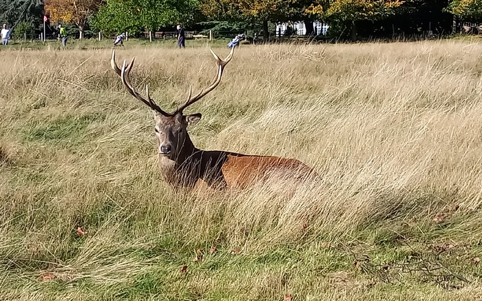 Wollaton Park AWAY MATCH RESULT Monday 15h September 2025